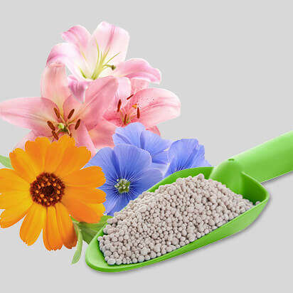 blumenduenger bubblenavibild